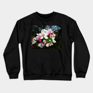 Dew Sprinkled Crabapple Blossoms Crewneck Sweatshirt